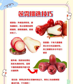 蓝雾花怎么养，掌握关键技巧，轻松打造梦幻花园