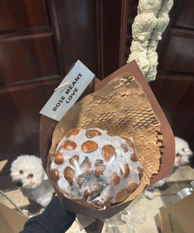 河边绿化设计方案，提升生态价值，打造宜居环境