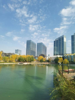 河边绿化设计方案，提升生态价值，打造宜居环境