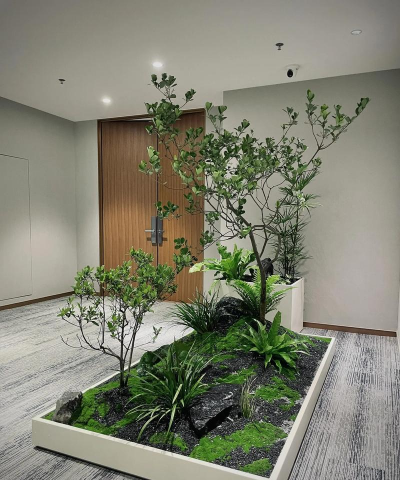 钟玲花怎么养，新手入门指南，轻松掌握养护技巧