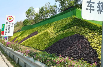 月季花应该怎么养，掌握关键技巧，轻松花开满园