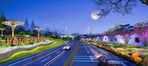 网上买了花应该怎么养，新手常见问题，实用养护指南