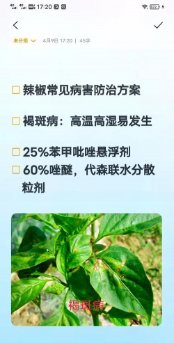 网上买了花应该怎么养，新手常见问题，实用养护指南