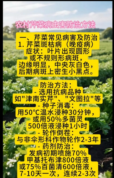 网上买了花应该怎么养，新手常见问题，实用养护指南