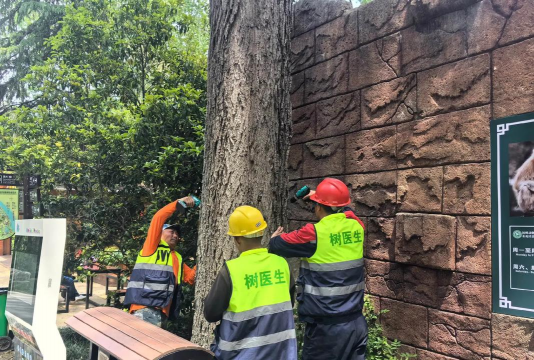 河边绿化设计方案，提升生态价值，打造宜居环境