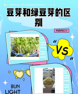 河边绿化设计方案，提升生态价值，打造宜居环境