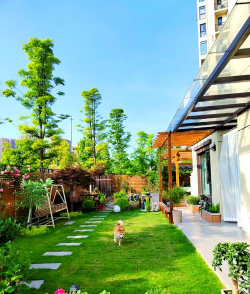 河边绿化设计方案，提升生态价值，打造宜居环境