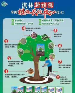 古树蟑螂防治，找准入侵源头，保护树木健康