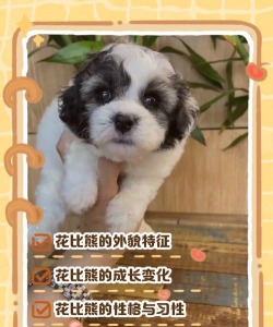 网上买了花应该怎么养，新手常见问题，实用养护指南