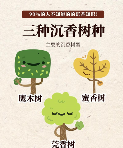 人参果树栽培，掌握关键步骤，轻松收获果实