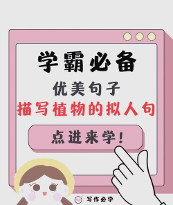 人参果树栽培，掌握关键步骤，轻松收获果实