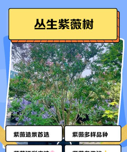 厂区景观绿化设计，提升环境品质，改善员工体验