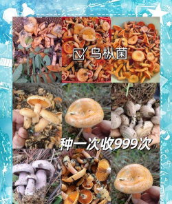 厂区景观绿化设计，提升环境品质，改善员工体验