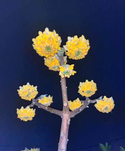 厂区景观绿化设计，提升环境品质，改善员工体验