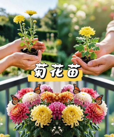 厂区景观绿化设计，提升环境品质，改善员工体验