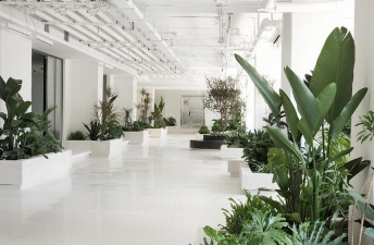 竖向绿化设计，提升城市生态，美化建筑空间