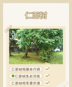 西红柿栽培技术视频，掌握关键步骤，轻松种出好番茄