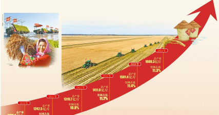 西红柿栽培技术视频，掌握关键步骤，轻松种出好番茄