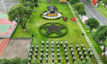 柿子树栽培技术，掌握关键要点，轻松收获果实