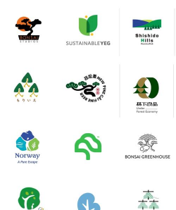 网上买了花应该怎么养，新手常见问题，实用养护指南