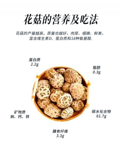 网上买了花应该怎么养，新手常见问题，实用养护指南