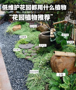 园林植物栽培养护,掌握关键技巧,打造美丽花园 园林植物栽培养护,掌握关键技巧,打造美丽花园