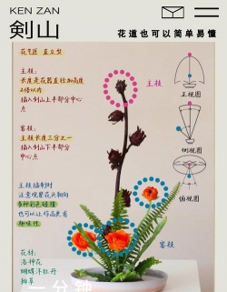 短杆花怎么养,轻松上手,花开不断 短杆花怎么养,轻松上手,花开不断