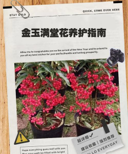 临泉树虫防治，识别常见虫害，掌握有效方法