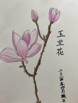 临泉树虫防治，识别常见虫害，掌握有效方法