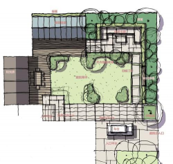临泉树虫防治，识别常见虫害，掌握有效方法