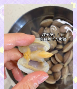 临泉树虫防治，识别常见虫害，掌握有效方法