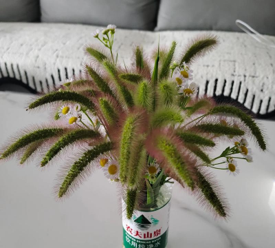 海棠树害虫防治，常见虫害识别，有效治理方法