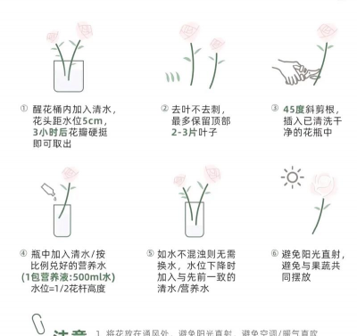 海棠树害虫防治，常见虫害识别，有效治理方法