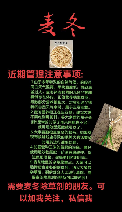 海棠树害虫防治，常见虫害识别，有效治理方法