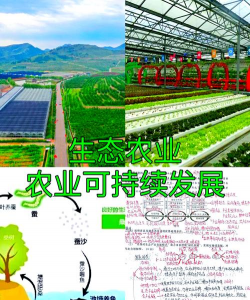 海棠树害虫防治，常见虫害识别，有效治理方法