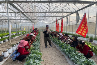 海棠树害虫防治，常见虫害识别，有效治理方法