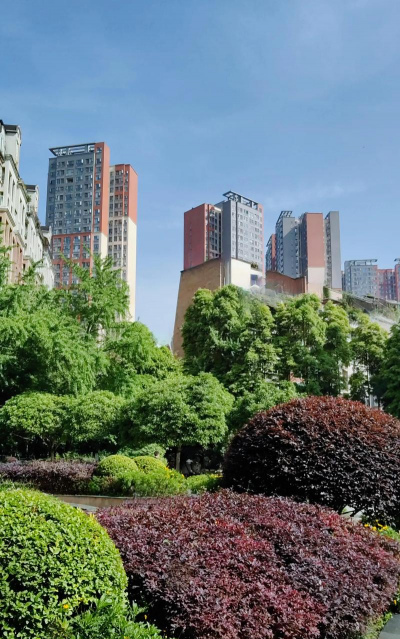 海棠树害虫防治，常见虫害识别，有效治理方法