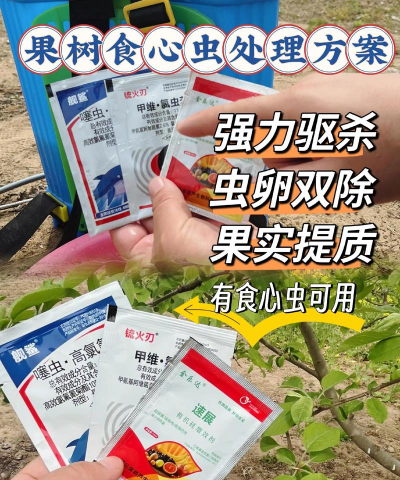 海棠树害虫防治，常见虫害识别，有效治理方法