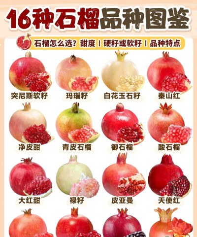 海棠树害虫防治，常见虫害识别，有效治理方法