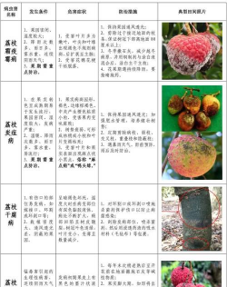 栀子花怎么养北方，解决常见问题，提供实用方法