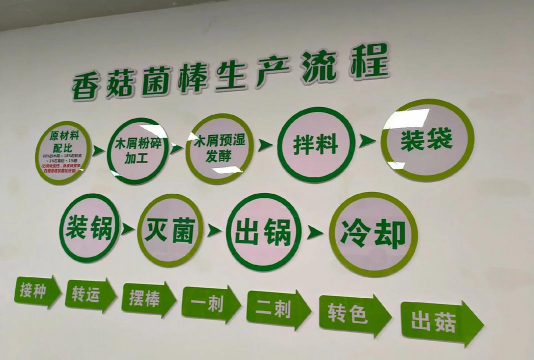 香菇的栽培技术,掌握关键步骤,轻松实现高产 香菇的栽培技术,掌握关键步骤,轻松实现高产