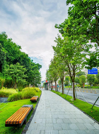 城市街道绿化设计,提升环境品质,改善居民生活 城市街道绿化设计,提升环境品质,改善居民生活