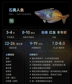 石花鱼怎么养,新手入门指南,常见问题解答 石花鱼怎么养,新手入门指南,常见问题解答