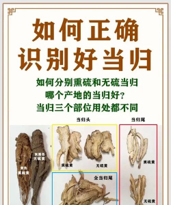 栀子花怎么养北方，解决常见问题，提供实用方法