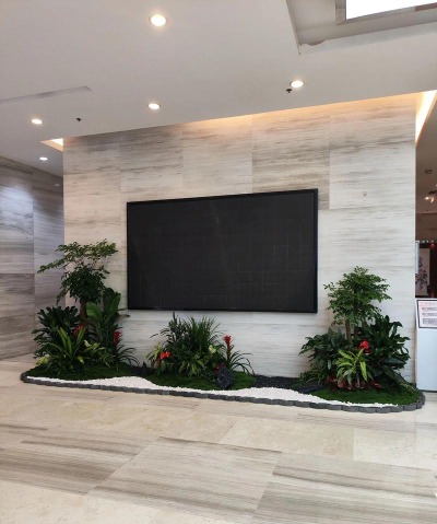 花明兔怎么养，新手入门指南，轻松上手技巧