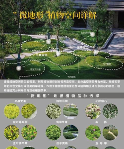 网上买了花应该怎么养，新手常见问题，实用养护指南