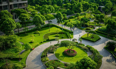 网上买了花应该怎么养，新手常见问题，实用养护指南