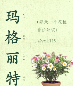 平安树的防治，常见问题解析，实用方法分享