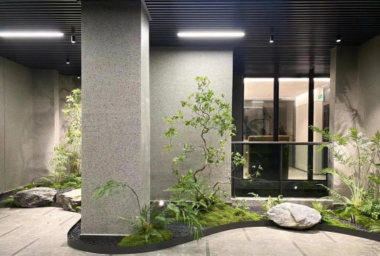 板栗寄生树防治，识别危害，科学处理