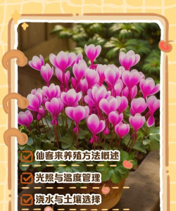 板栗寄生树防治，识别危害，科学处理